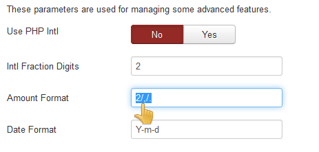 custom_amount_format.png